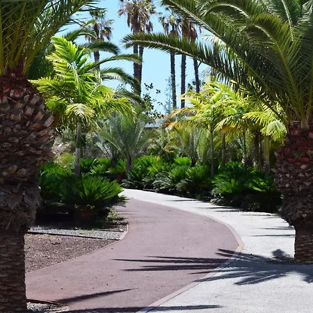 Primavera Tenerife *