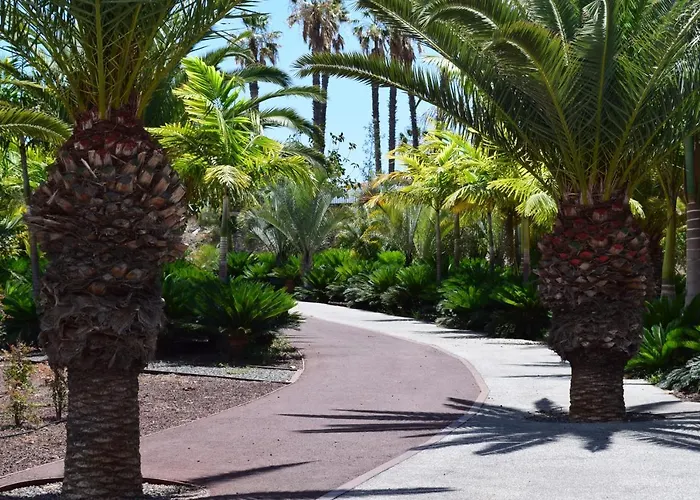 Primavera Tenerife *